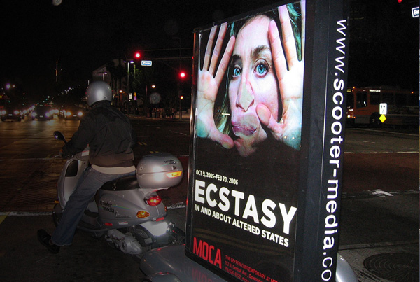 ecstasy: in and about altered states